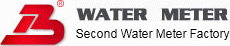 watermeterchina.com